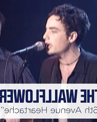 The Wallflowers Ottawa
