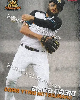 Charleston Dirty Birds vs. Lexington Legends